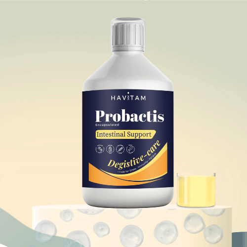Un Soutien Probiotique Optimal pour Votre Système Digestif - HAVITAM